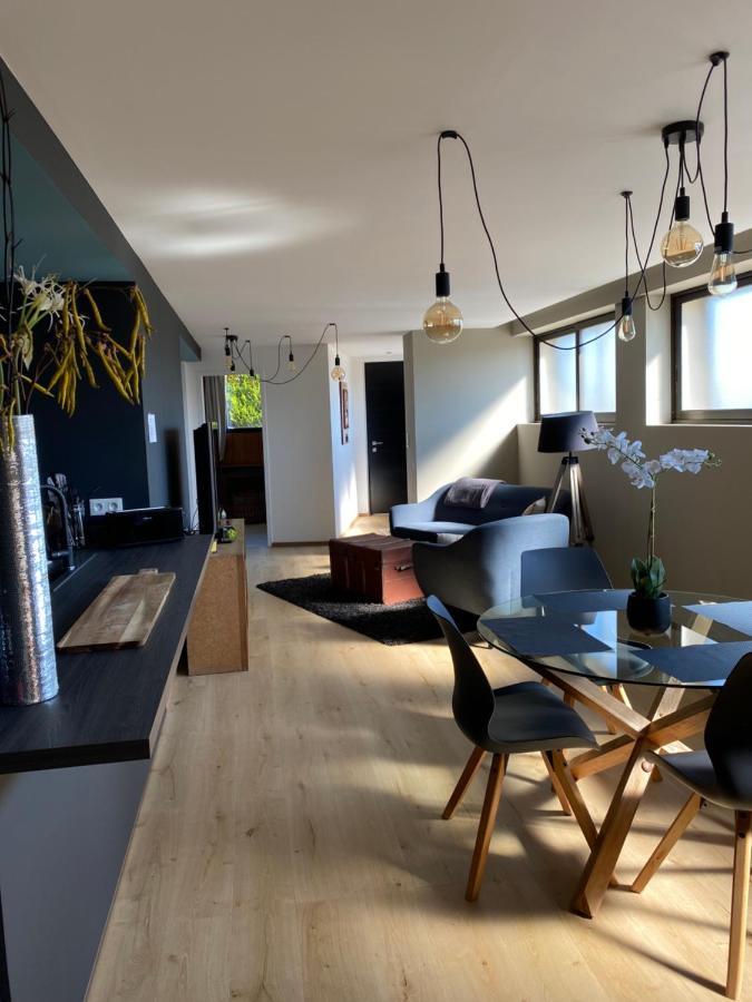 Appartement Atypique Epinal Gare Exteriör bild